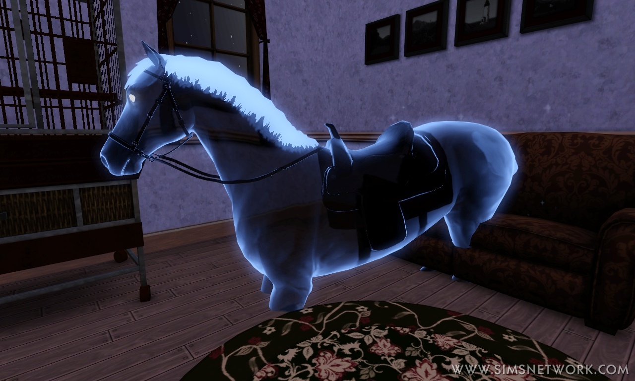 How To Get A Ghost Zapper On Sims 3 Pets