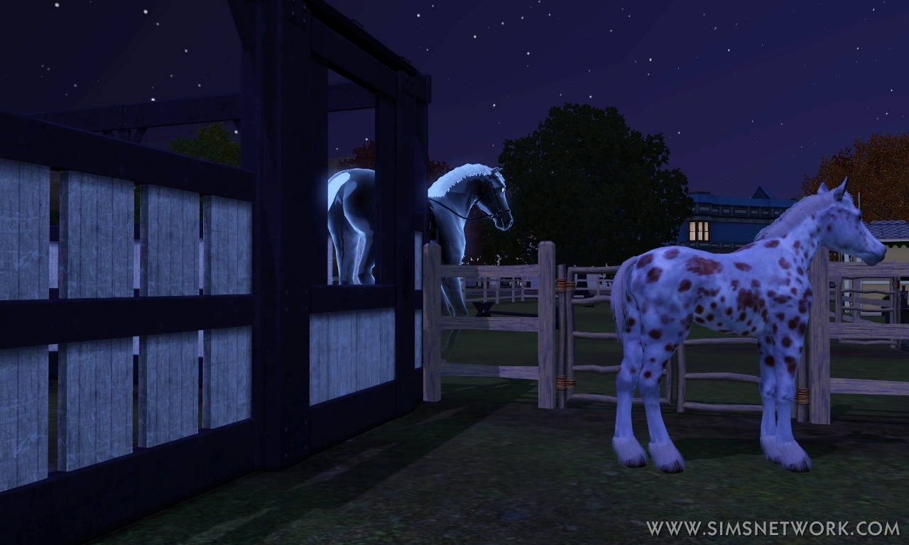 How To Get A Ghost Zapper On Sims 3 Pets