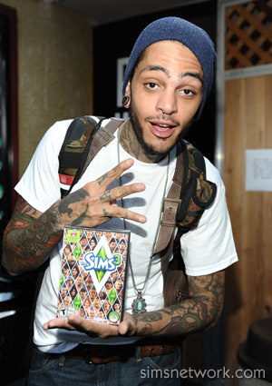 Travie McCoy The Sims may be one of the biggest and bestknown brands in