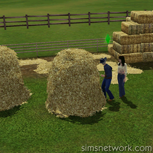 Sims 3 Max Skills Mod