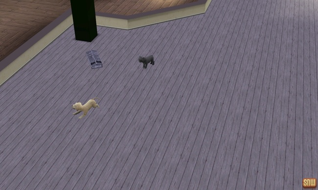 The Sims 3 Pets: Oopsie-Daisy the cat