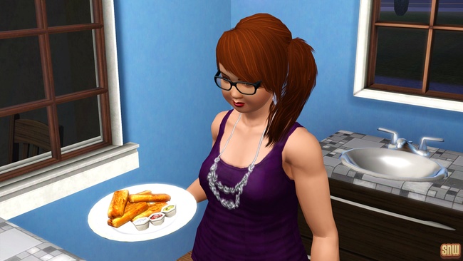 Sizzle Baby Pro Deep Fryer and Frost-Bite Pro Ice Cream Machine (premium content for The Sims 3)