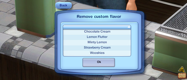 Sizzle Baby Pro Deep Fryer and Frost-Bite Pro Ice Cream Machine (premium content for The Sims 3)