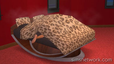 The Sims 2