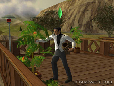 The Sims 2 for Console