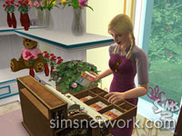The Sims 2 Open for Business - Rags to Riches