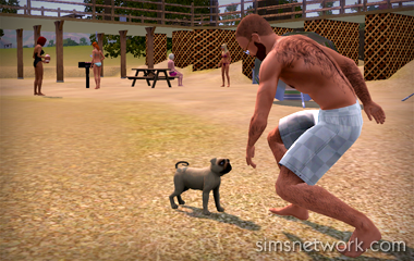 The Sims 3 Pets