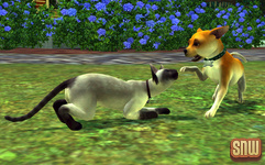 The Sims 3 Pets