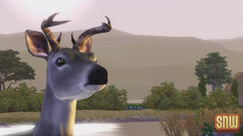 The Sims 3 Pets