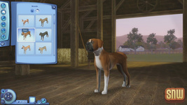 The Sims 3 Pets