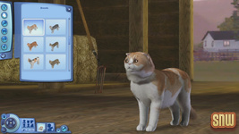 The Sims 3 Pets