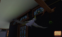 The Sims 3 Pets: Birds