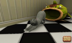 The Sims 3 Pets: Oopsie-Daisy the cat