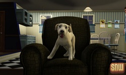 The Sims 3 Pets: BaBa the dog