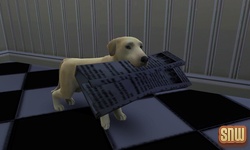 The Sims 3 Pets: BaBa the dog