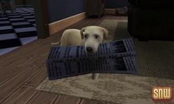 The Sims 3 Pets: BaBa the dog