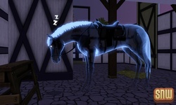 The Sims 3 Pets: Estela the ghost horse