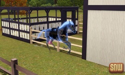 The Sims 3 Pets: Estela Marshall the ghost horse
