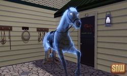 The Sims 3 Pets: Estela Marshall the ghost horse