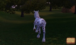 The Sims 3 Pets: GooGoo the horse