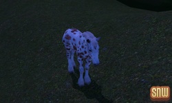 The Sims 3 Pets: GooGoo the horse