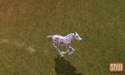 The Sims 3 Pets: GooGoo the horse