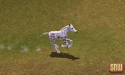 The Sims 3 Pets: GooGoo the horse