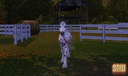 The Sims 3 Pets: GooGoo the horse