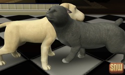 The Sims 3 Pets: BaBa the dog and Oopsie-Daisy the cat