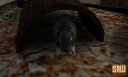 The Sims 3 Pets: Squirrel