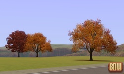 The Sims 3 Pets: Appaloosa Plains