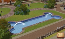 The Sims 3 Pets: Dog Pool