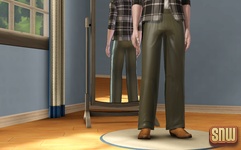 The Sims 3 Showtime