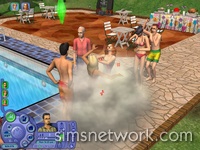 The Sims 2