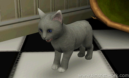 The Sims 3 Pets: Oopsie-Daisy the cat aging from kitten to adult cat
