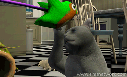 The Sims 3 Pets: Oopsie-Daisy the cat playing with the toy bird