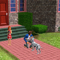 the sims 2 super collection star icon missing the sims 2 super collection star icon missing
