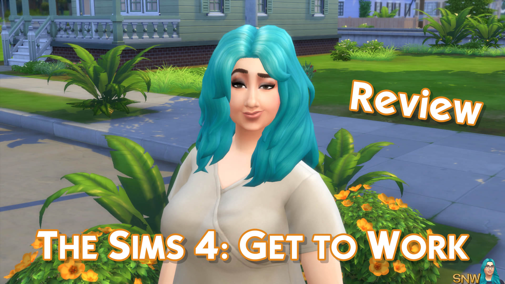 The Sims Online, SNW