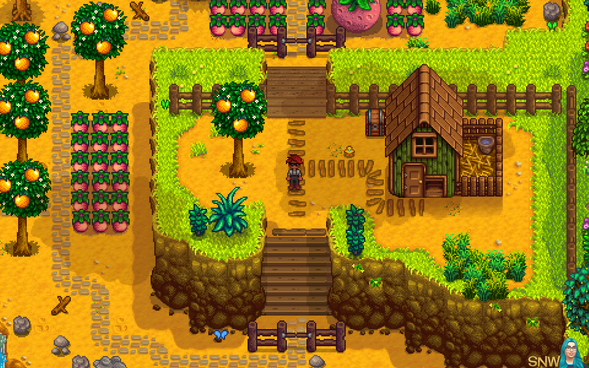Stardew Valley News Snw Simsnetwork Com Stardew Valley News Snw Simsnetwork Com